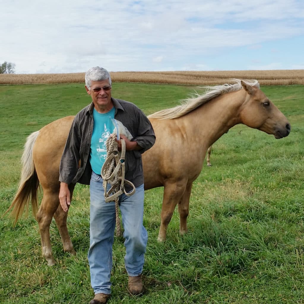 Larry Plate with a Quartehorse in a Field